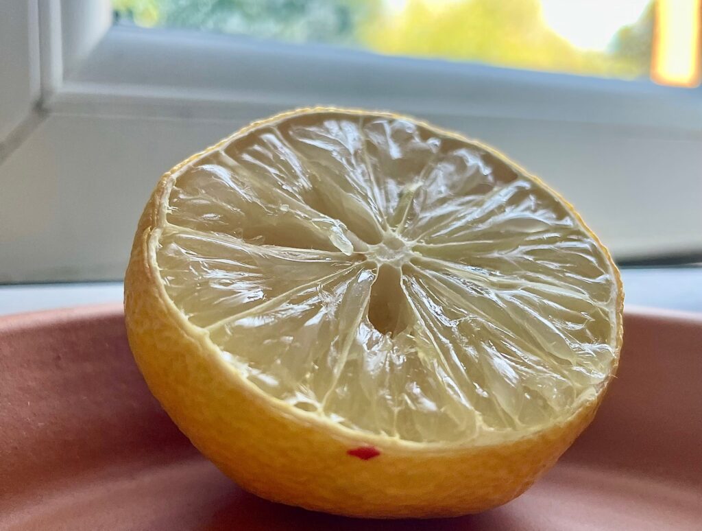 Half, slightly dry, lemon on terracotta saucer in front of an open window.