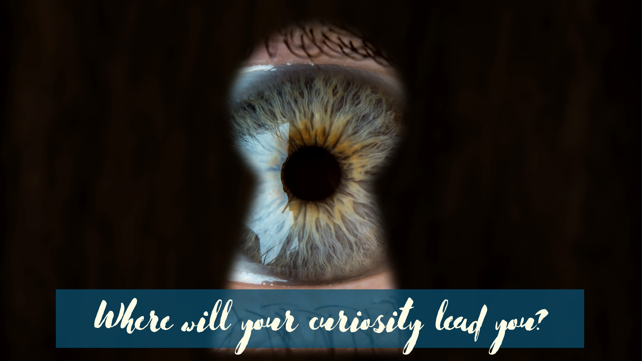 You’re looking through a key hole with one grey-blue (?) eye of a white person looking back at you. At the bottom, there is a 50% transparent petrol coloured box with cursive writing in it. The writing says, “Where will your curiosity lead you?”
