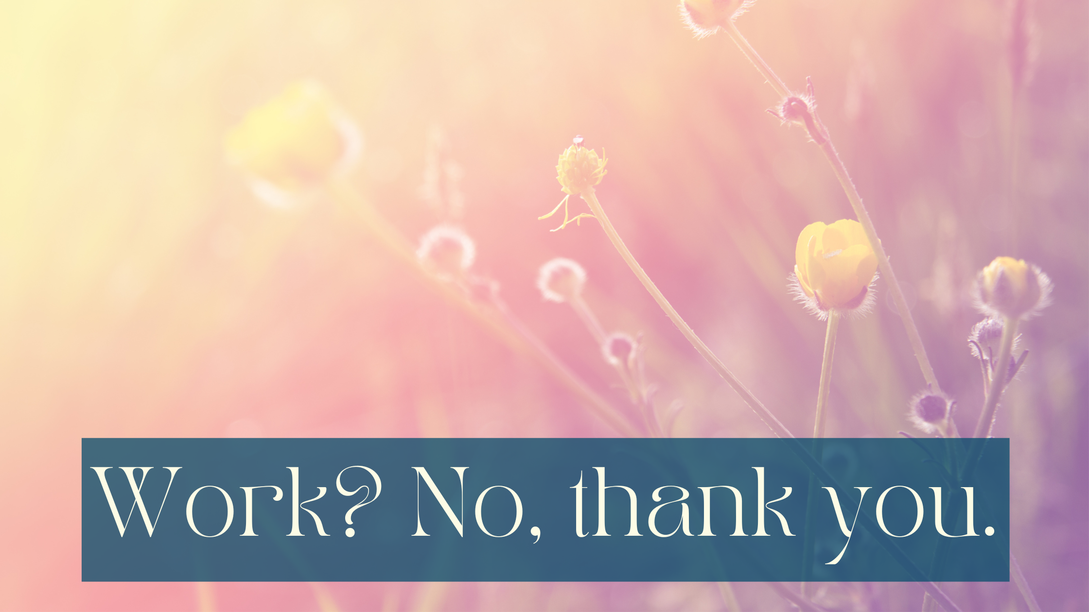 Picture of yellow summer flowers on a meadow illuminated by the sun from the top left, so barely visible. There’s a haze over the whole picture. White writing on half transparent petrol background at the bottom says Work? No, thank you.